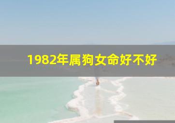 1982年属狗女命好不好