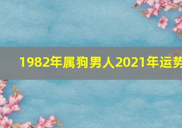 1982年属狗男人2021年运势