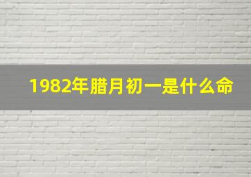 1982年腊月初一是什么命