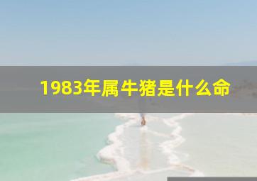 1983年属牛猪是什么命