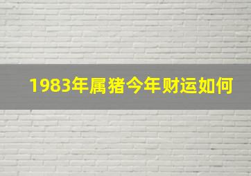 1983年属猪今年财运如何