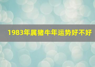 1983年属猪牛年运势好不好