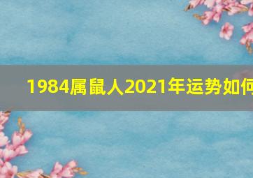 1984属鼠人2021年运势如何