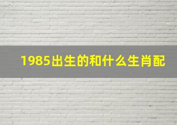 1985出生的和什么生肖配