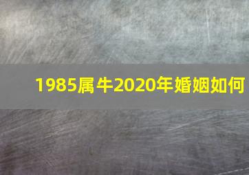 1985属牛2020年婚姻如何