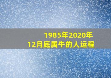 1985年2020年12月底属牛的人运程