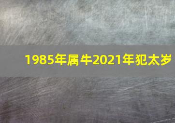 1985年属牛2021年犯太岁