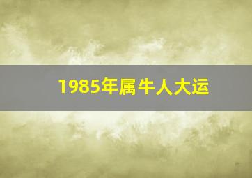 1985年属牛人大运