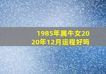 1985年属牛女2020年12月运程好吗