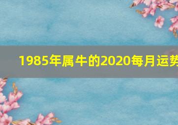 1985年属牛的2020每月运势