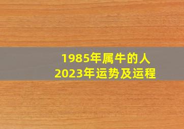 1985年属牛的人2023年运势及运程