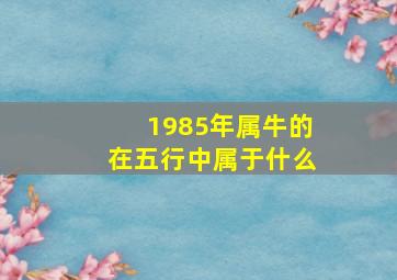 1985年属牛的在五行中属于什么