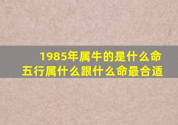 1985年属牛的是什么命五行属什么跟什么命最合适