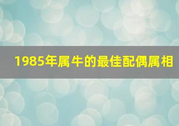 1985年属牛的最佳配偶属相