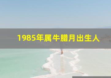 1985年属牛腊月出生人