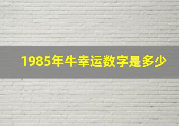 1985年牛幸运数字是多少