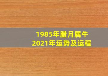 1985年腊月属牛2021年运势及运程