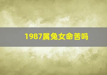 1987属兔女命苦吗