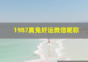 1987属兔好运微信昵称