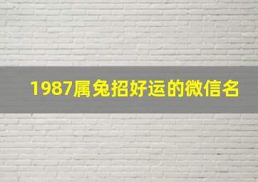 1987属兔招好运的微信名