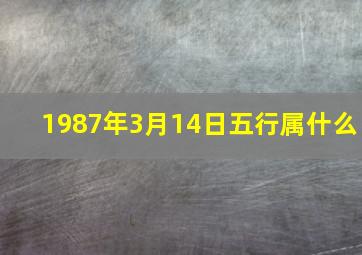 1987年3月14日五行属什么