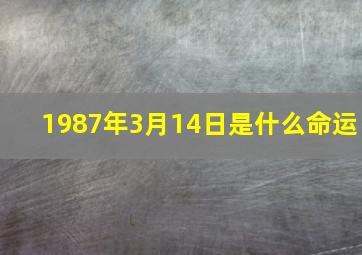 1987年3月14日是什么命运