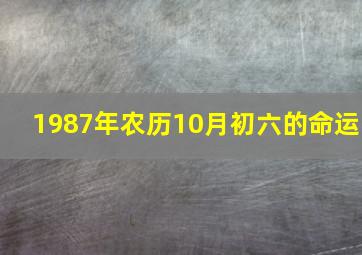 1987年农历10月初六的命运