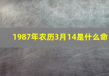 1987年农历3月14是什么命