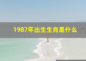 1987年出生生肖是什么