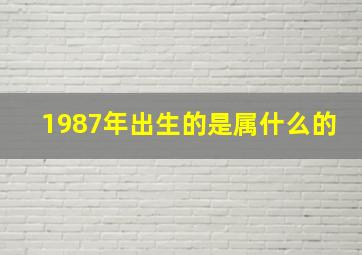 1987年出生的是属什么的