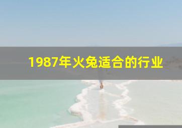 1987年火兔适合的行业