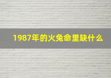 1987年的火兔命里缺什么