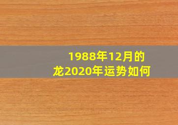 1988年12月的龙2020年运势如何