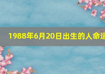 1988年6月20日出生的人命运