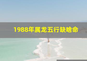 1988年属龙五行缺啥命