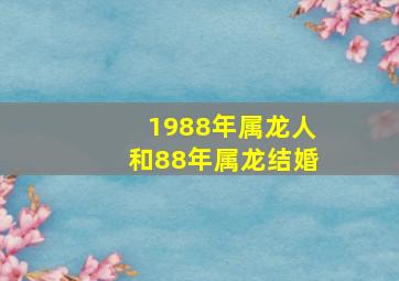 1988年属龙人和88年属龙结婚