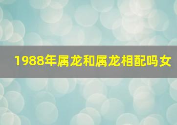 1988年属龙和属龙相配吗女