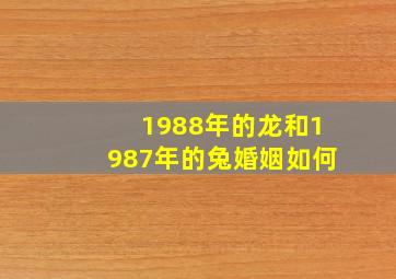 1988年的龙和1987年的兔婚姻如何