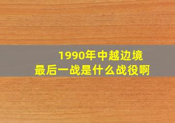 1990年中越边境最后一战是什么战役啊