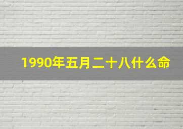 1990年五月二十八什么命