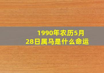 1990年农历5月28日属马是什么命运