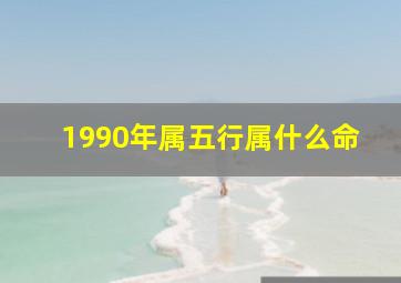 1990年属五行属什么命