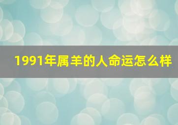 1991年属羊的人命运怎么样