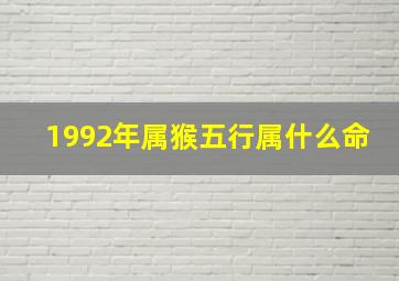 1992年属猴五行属什么命