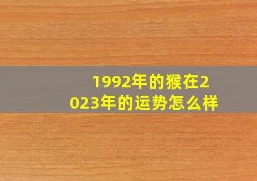 1992年的猴在2023年的运势怎么样