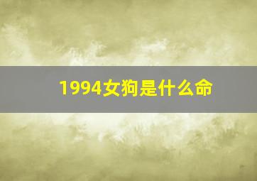 1994女狗是什么命