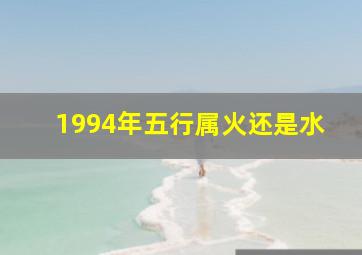 1994年五行属火还是水