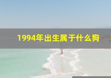 1994年出生属于什么狗