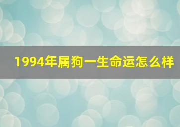 1994年属狗一生命运怎么样