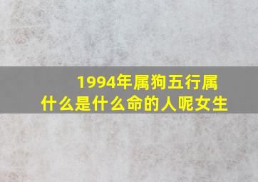 1994年属狗五行属什么是什么命的人呢女生